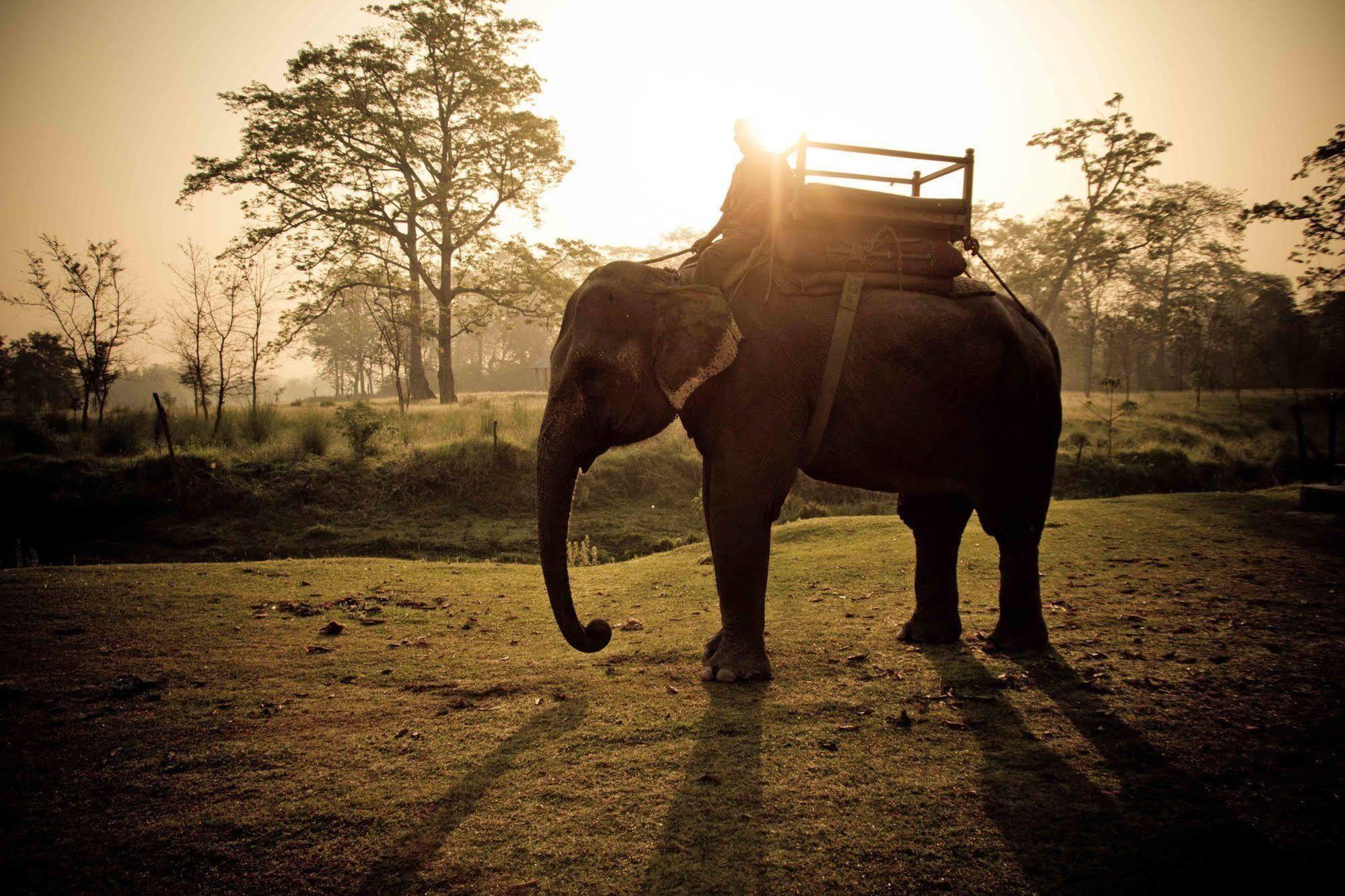 Machan Country Villa Kumarwarti Eksteriør bilde